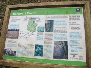 Margaret's Wood