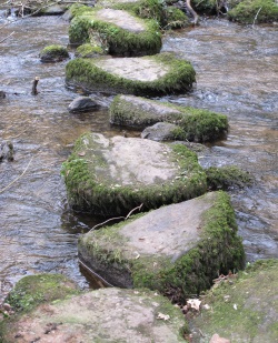 Stepping stones across the White brook